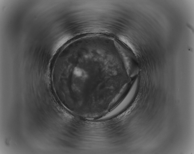 X0000091461071200708231311