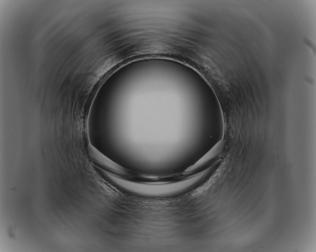 X0000091461073200708231311