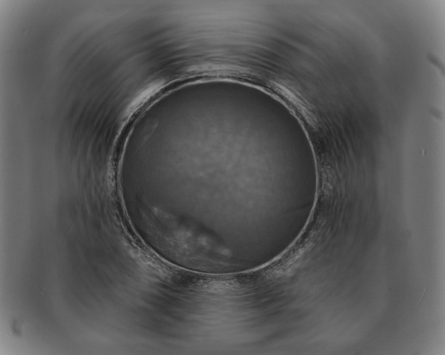 X0000091461074200708231311