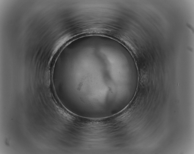 X0000091461075200708231311