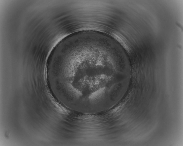 X0000091461076200708231311
