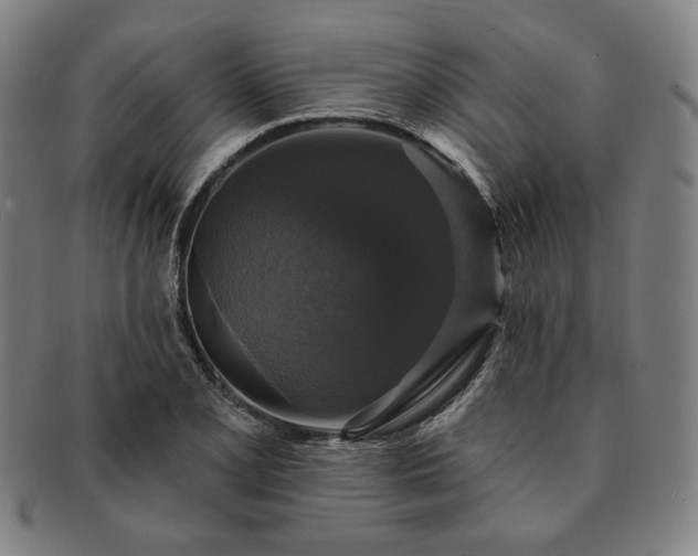 X0000091461077200708231311