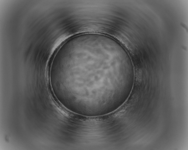 X0000091461078200708231311