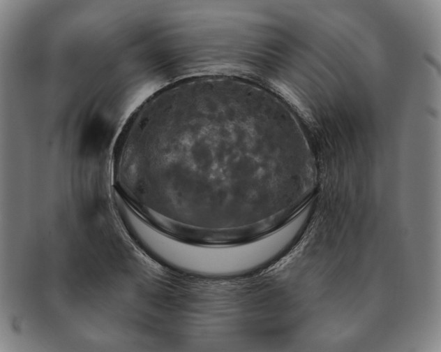 X0000091461079200708231311