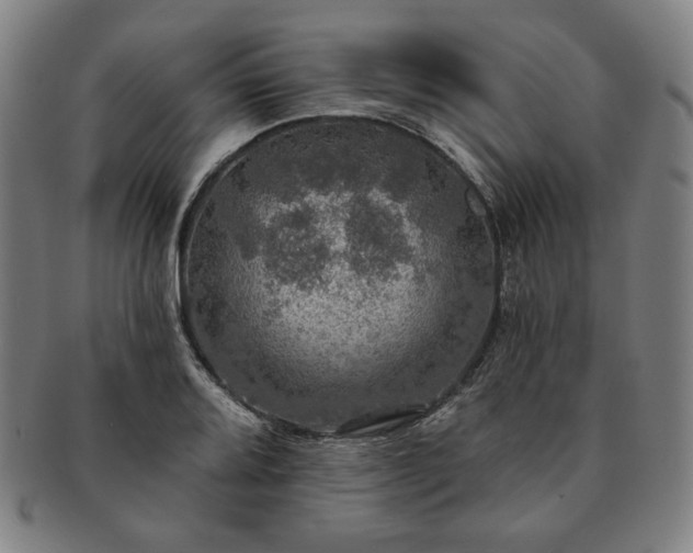 X0000091461080200708231311