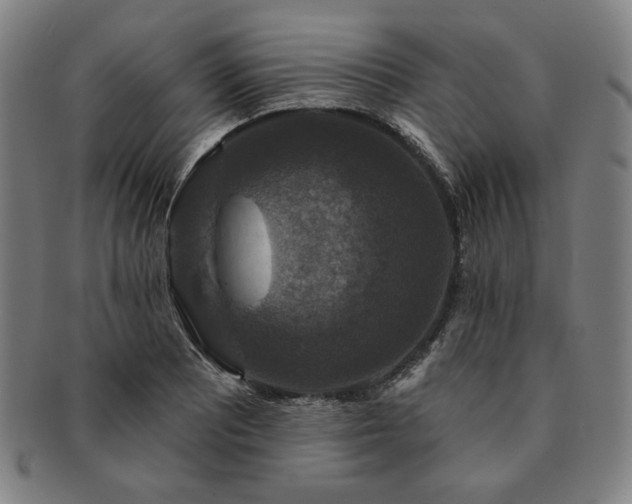 X0000091461081200708231311