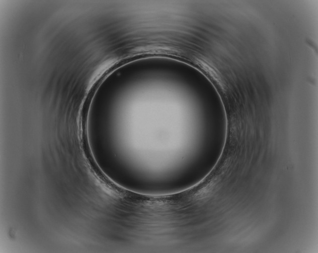 X0000091461082200708231311