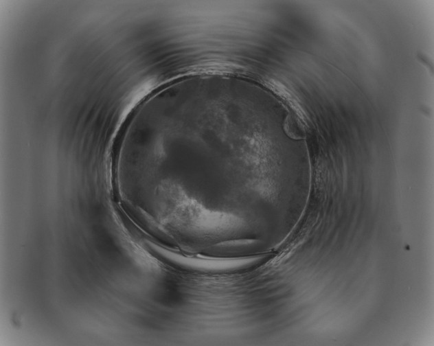 X0000091461083200708231311
