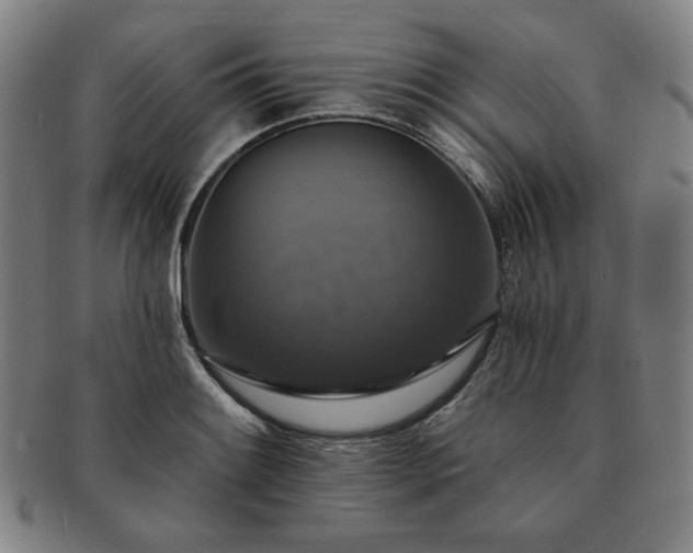 X0000091461084200708231311