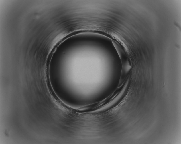 X0000091461085200708231311