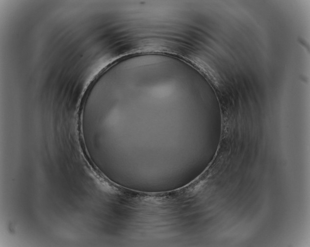 X0000091461086200708231311