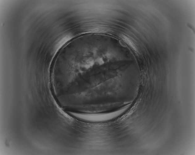 X0000091461087200708231311