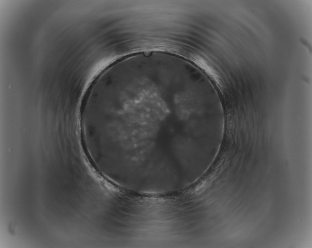 X0000091461088200708231311