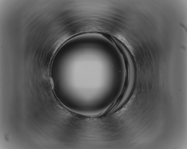 X0000091461089200708231311