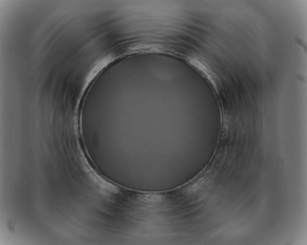 X0000091461090200708231311