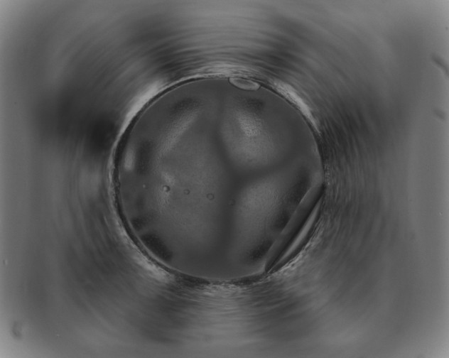 X0000091461091200708231311