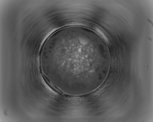 X0000091461092200708231311