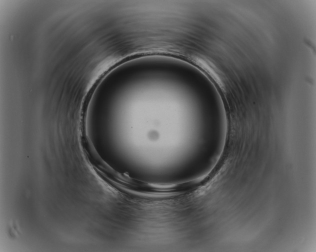 X0000091461093200708231311