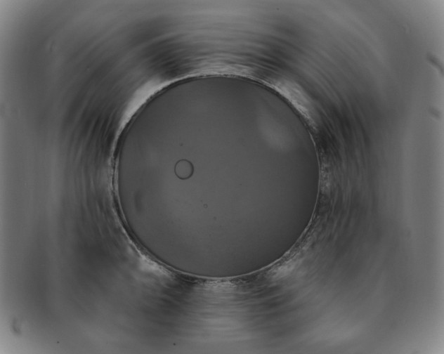 X0000091461094200708231311
