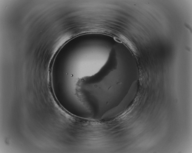 X0000091461095200708231311