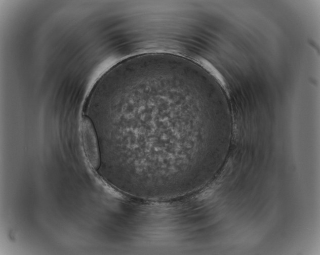 X0000091461096200708231311