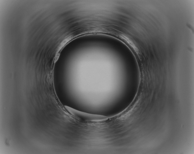 X0000091461097200708231311