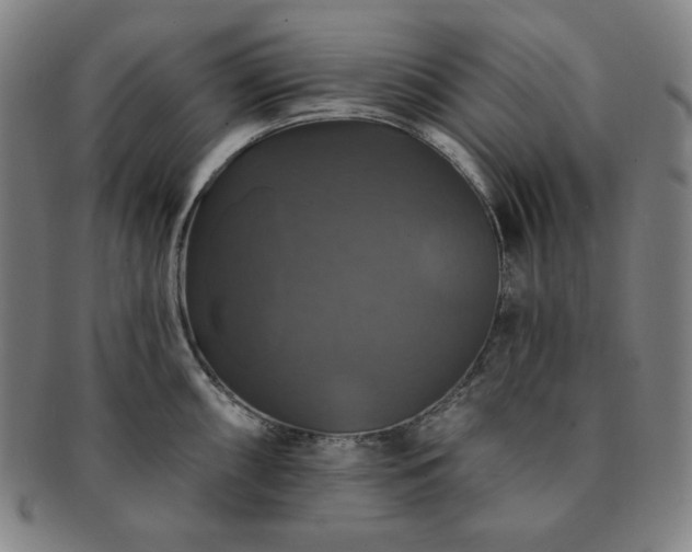 X0000091461098200708231311