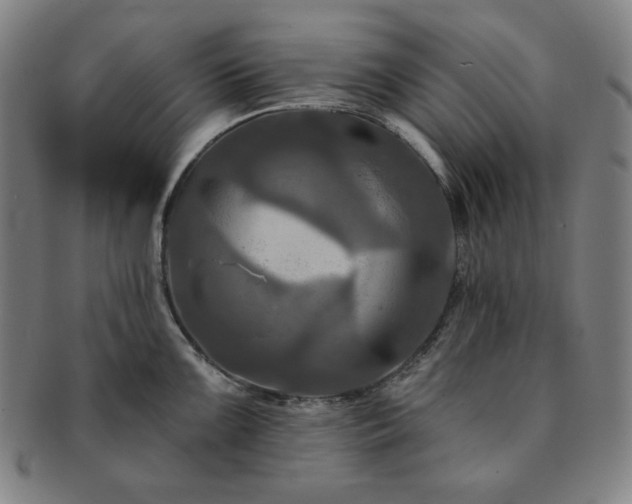 X0000091461099200708231311
