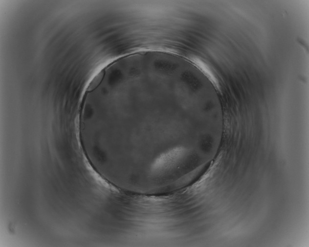 X0000091461100200708231311