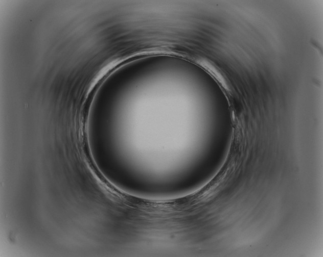 X0000091461101200708231311