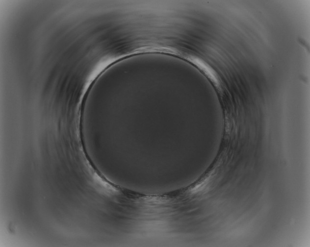 X0000091461102200708231311