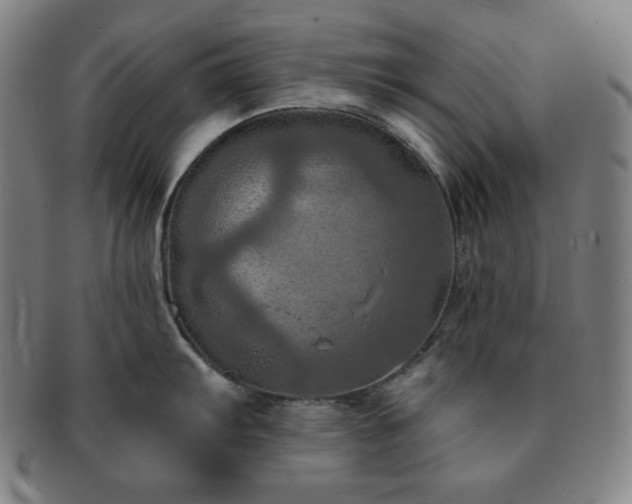 X0000091461103200708231311