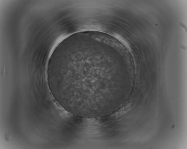 X0000091461104200708231311