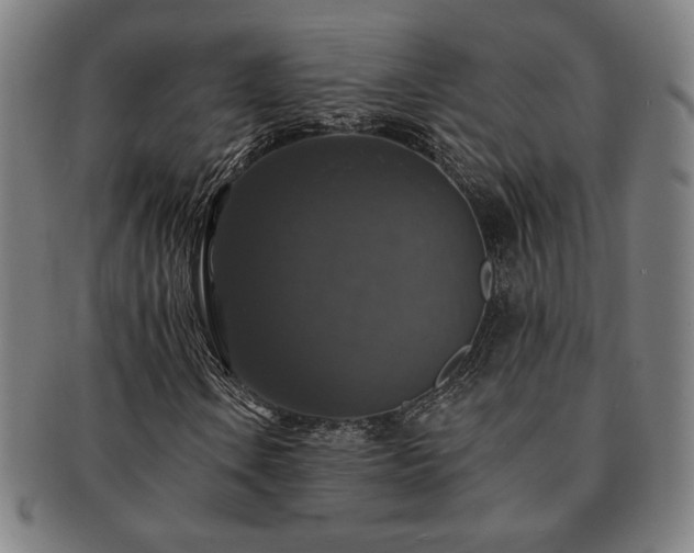 X0000091461106200708231310