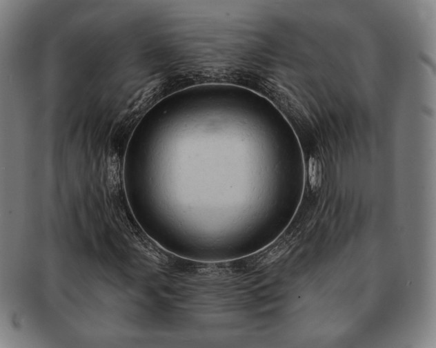 X0000091461107200708231310