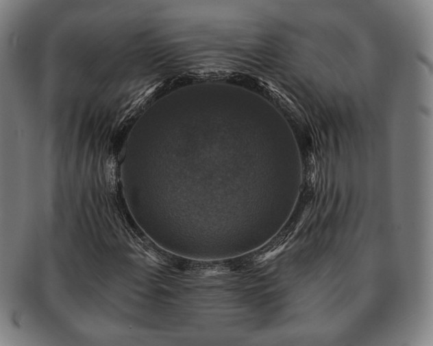 X0000091461108200708231310