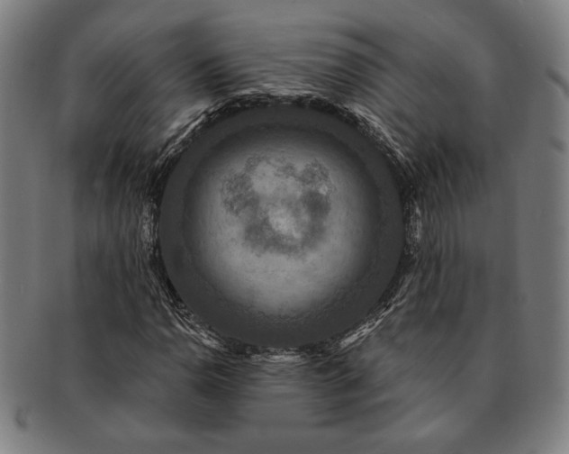 X0000091461110200708231310