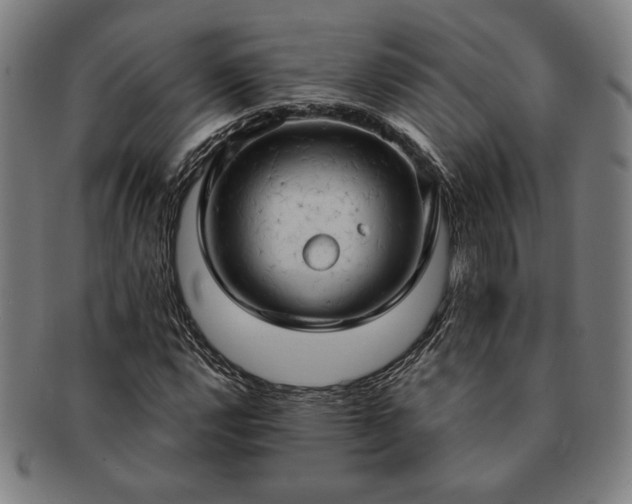 X0000091461112200708231310