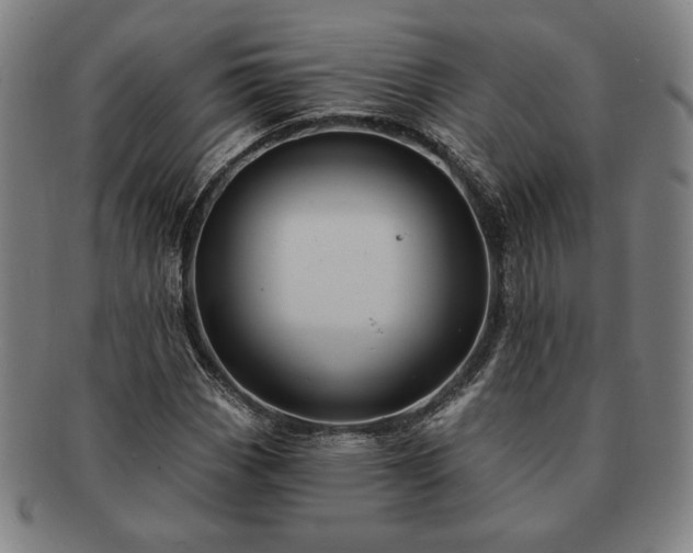 X0000091461113200708231310