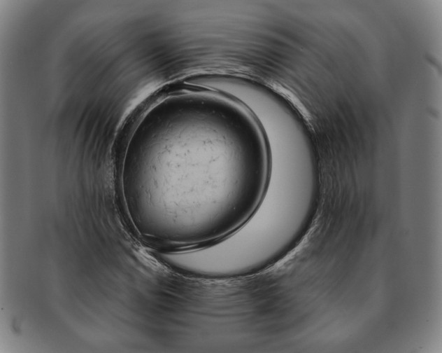 X0000091461114200708231310