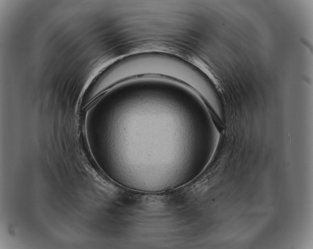 X0000091461116200708231310