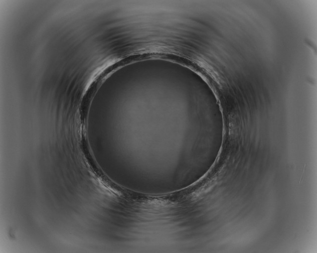 X0000091461117200708231310