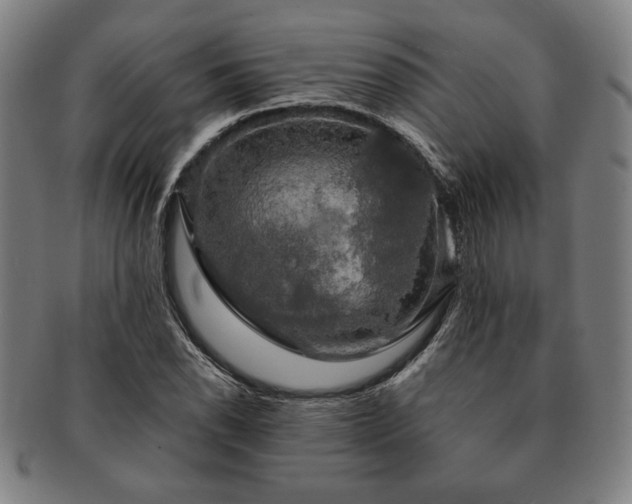 X0000091461118200708231310