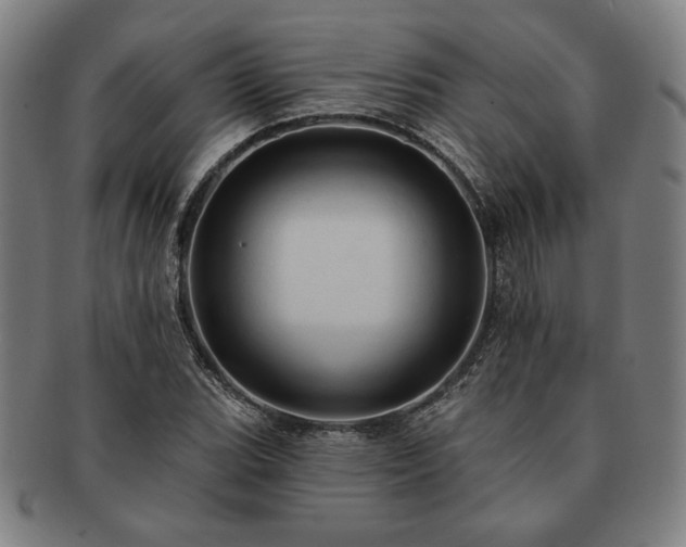 X0000091461119200708231311