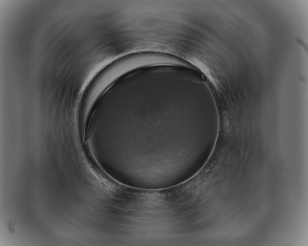 X0000091461120200708231311