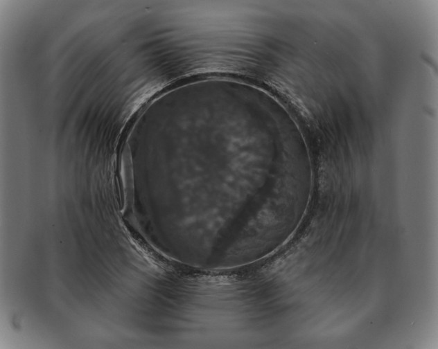 X0000091461121200708231311