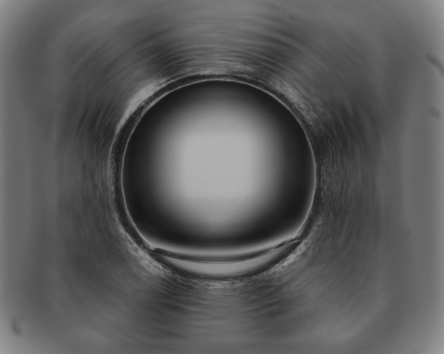 X0000091461122200708231311