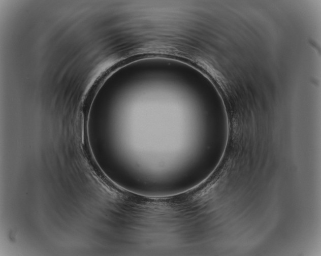 X0000091461123200708231311