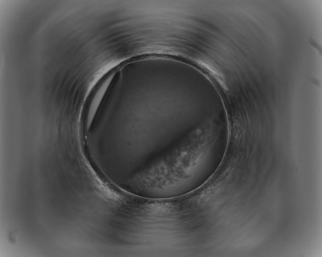 X0000091461125200708231311