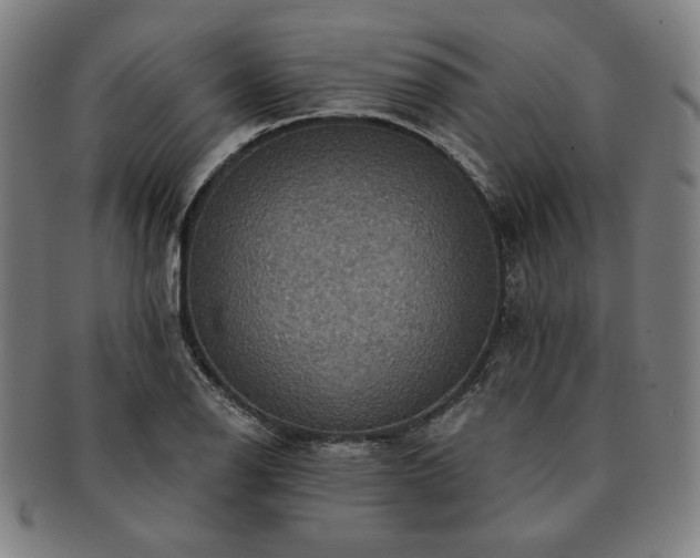 X0000091461126200708231311
